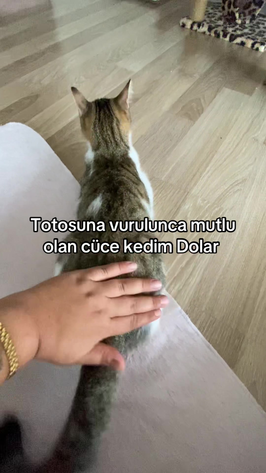 @yudummz_