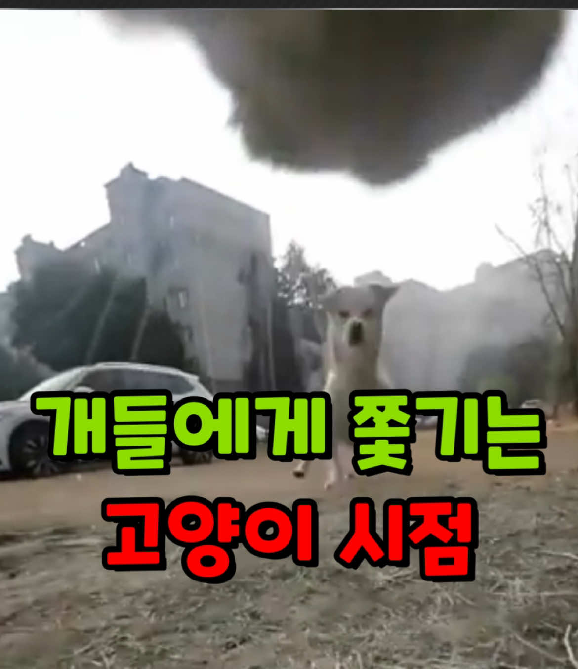 @개그살롱