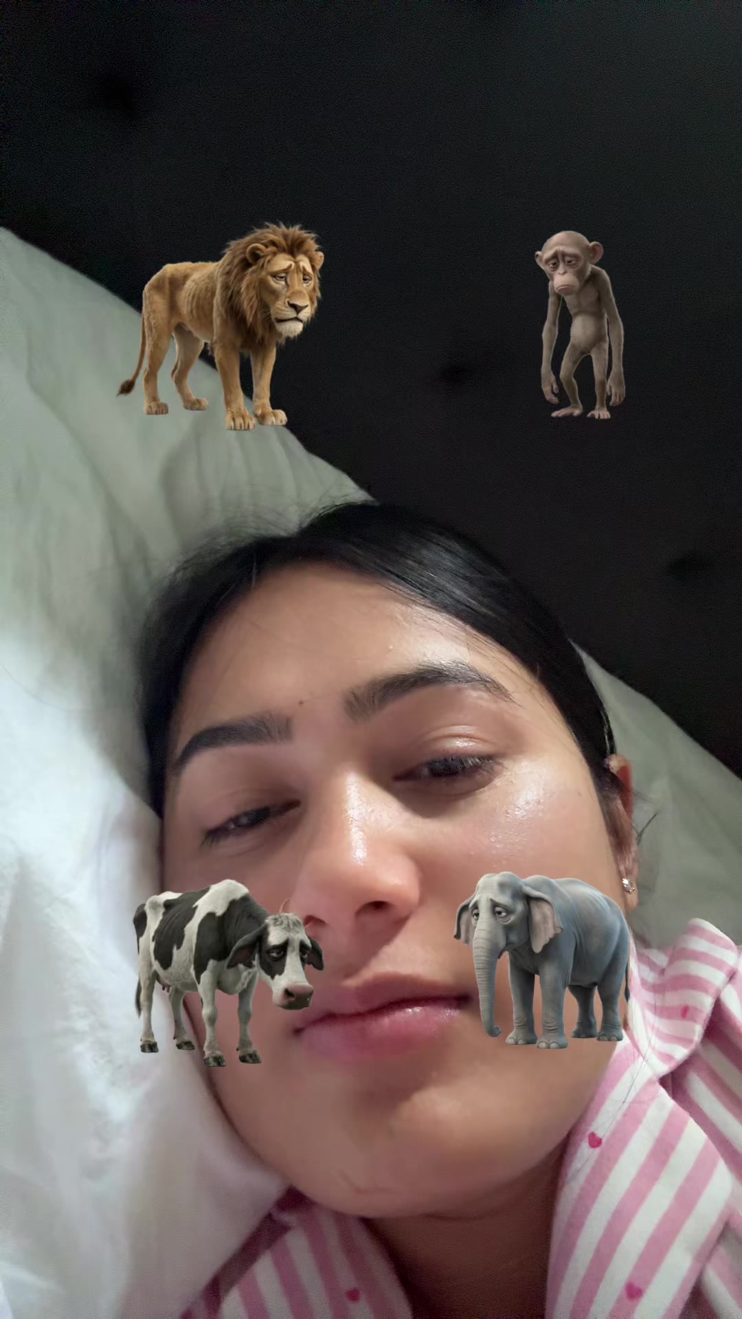 @11:11