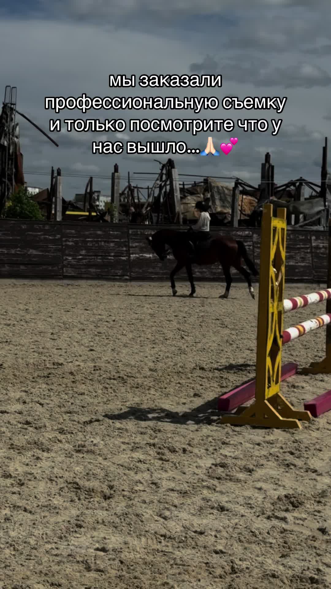 @овечкина