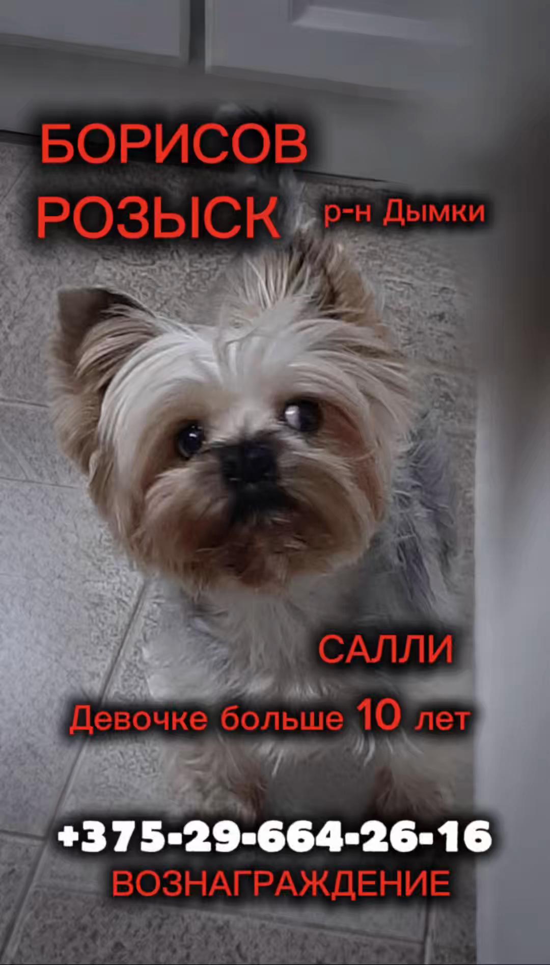 @help_animals_belarus