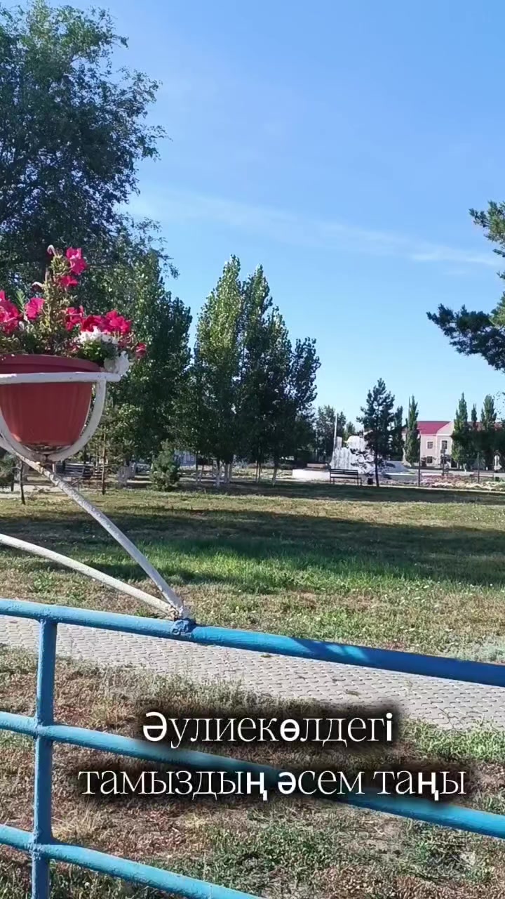 @Тиктокерша
