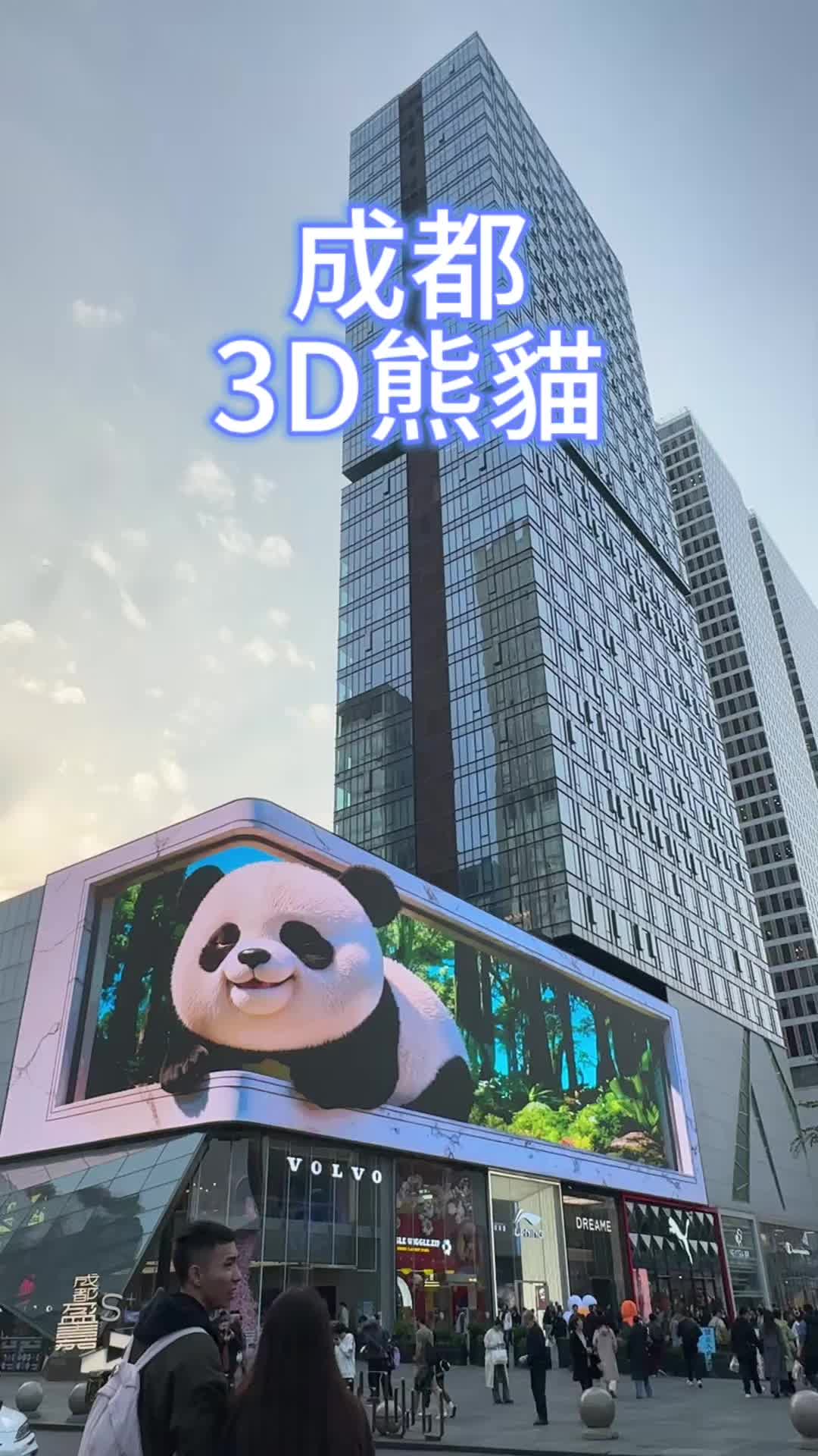@小虎妹