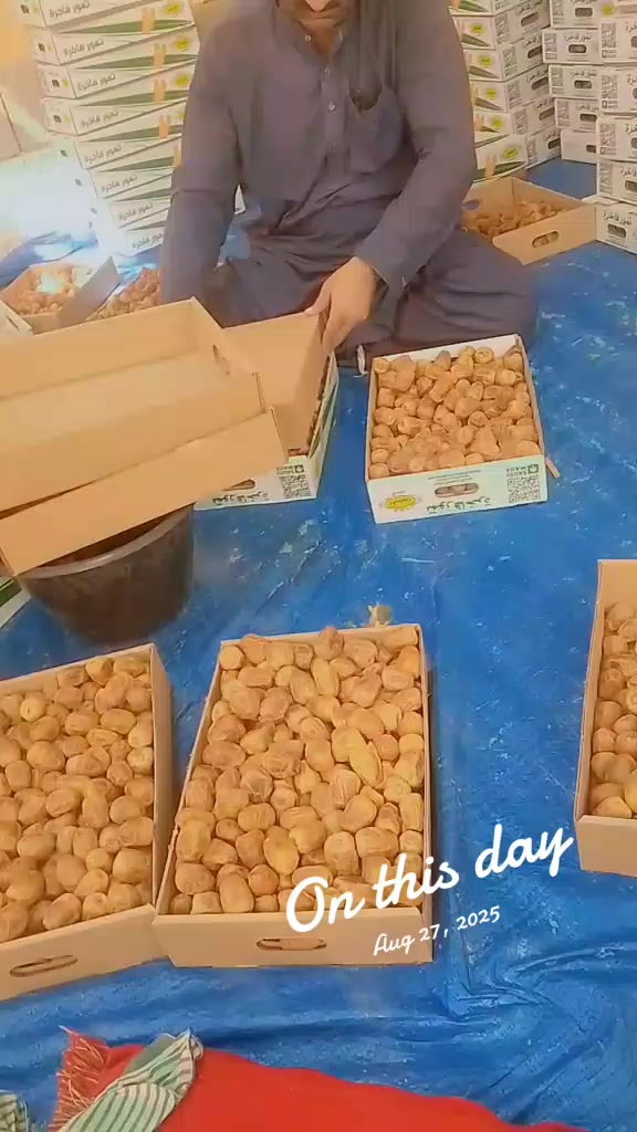 @Gulzar 🇸🇦