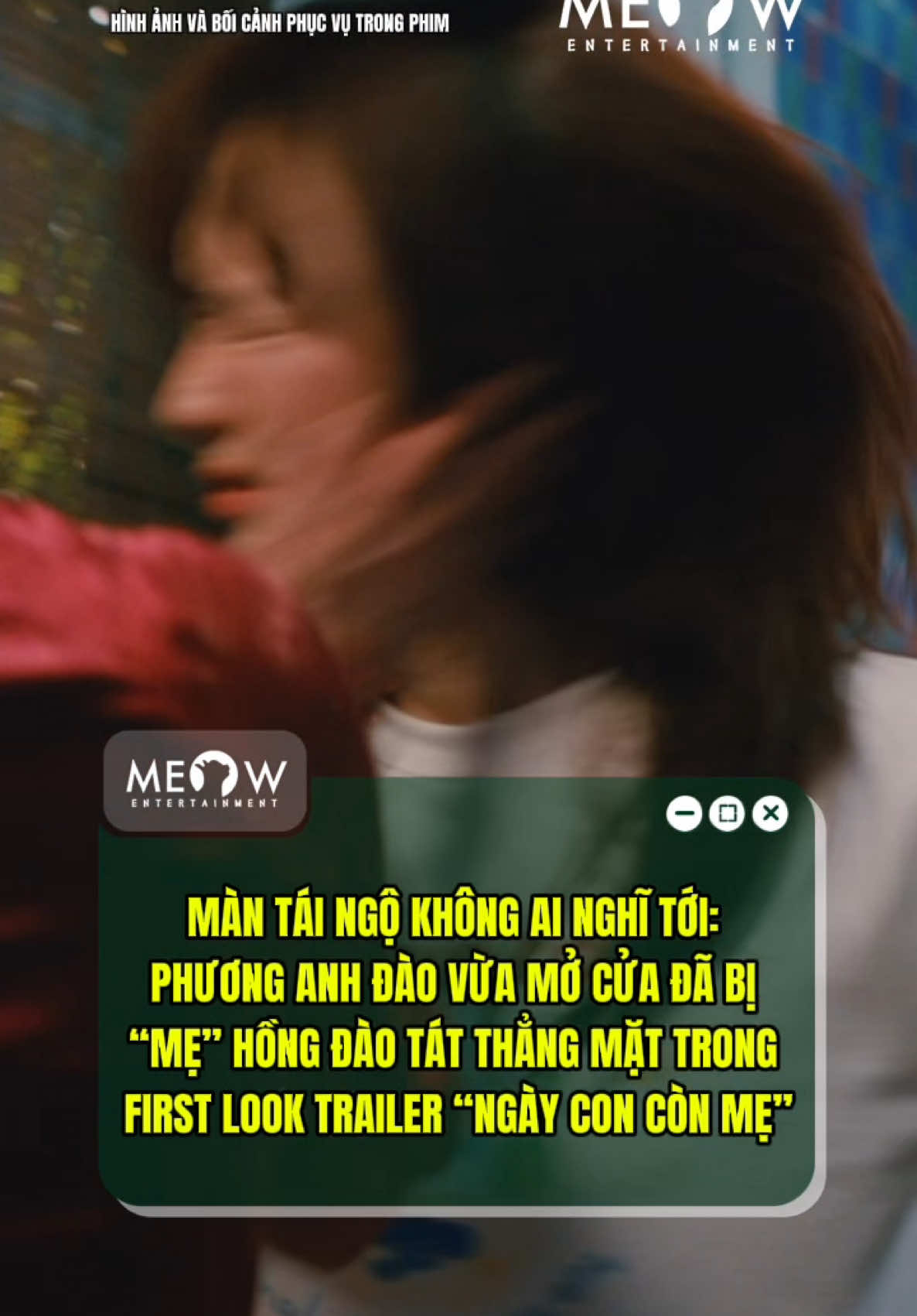 @MEOW ENTERTAINMENT