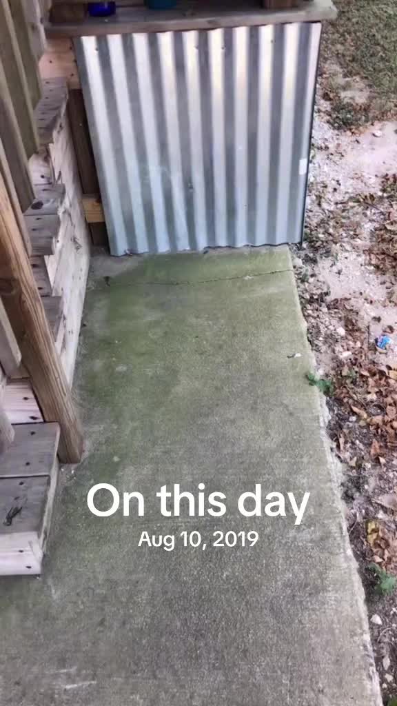 @the_sarah_jones