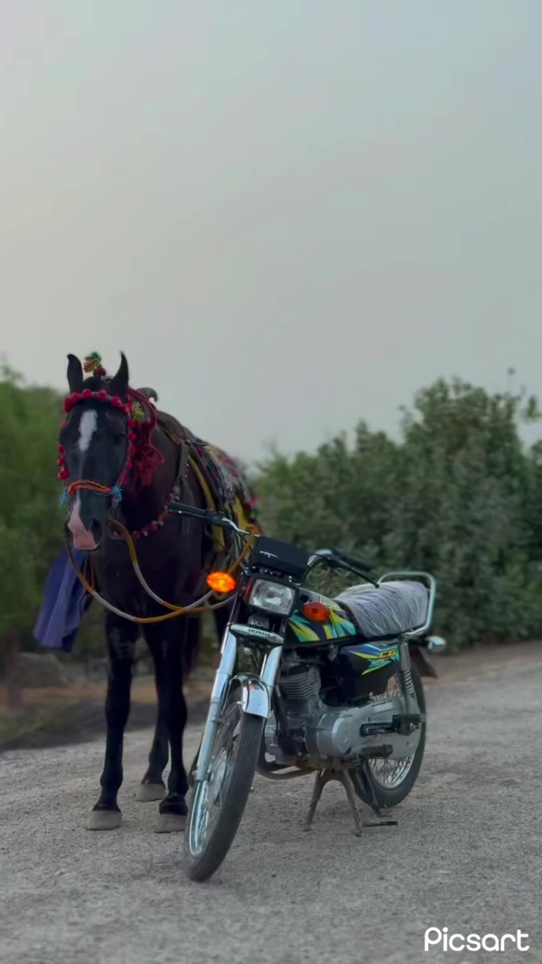 @SHOAIB HONDA