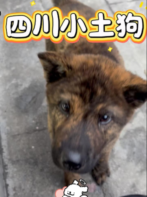 @招財魚水族精品
