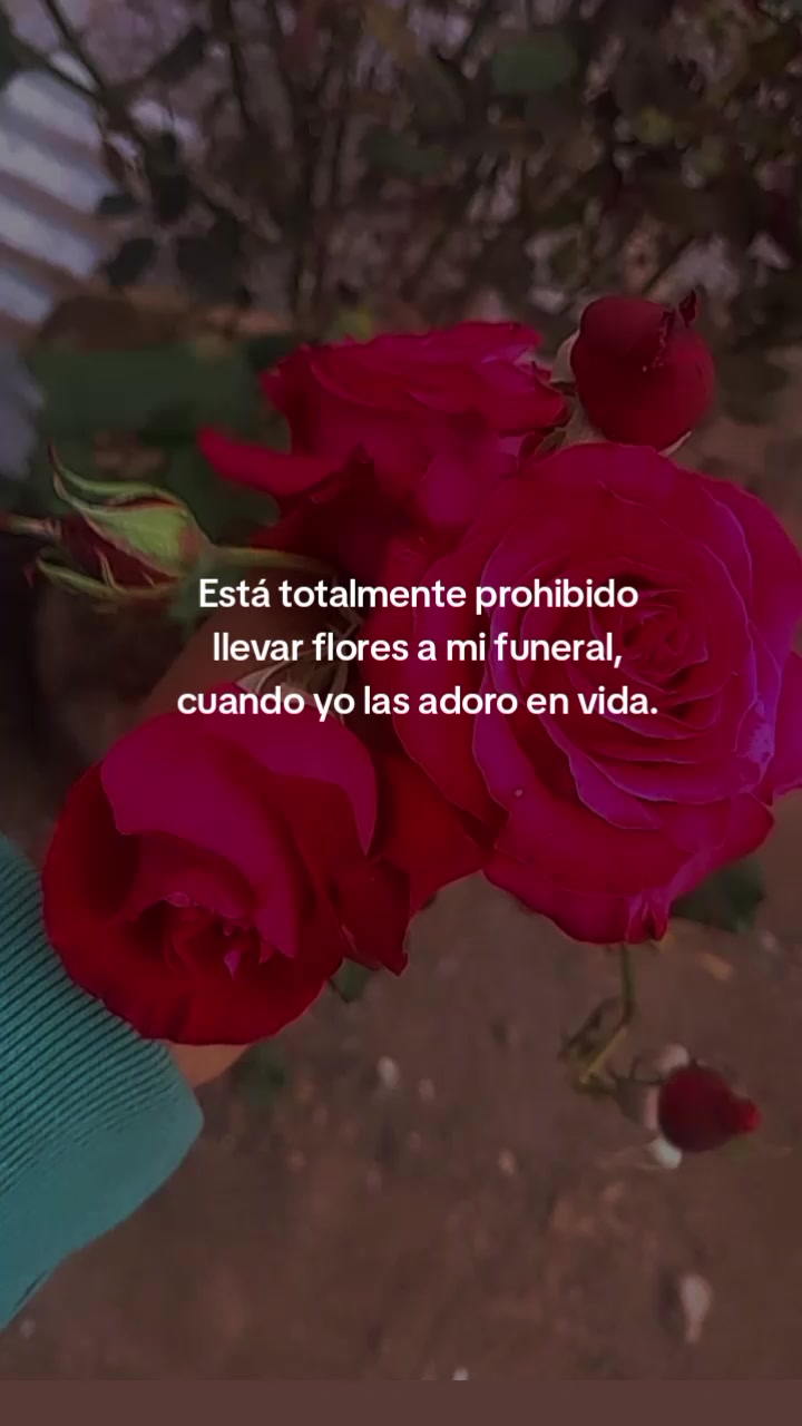 @Darly🌻🍒