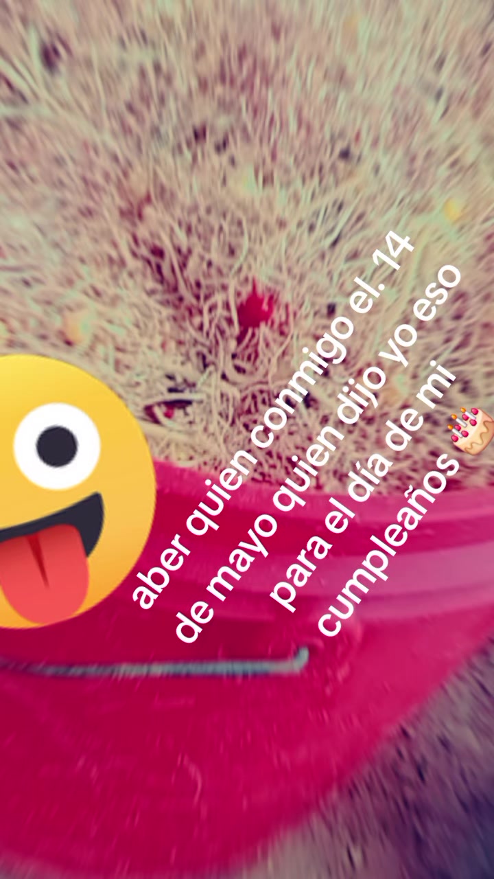 @<Y>z<B>