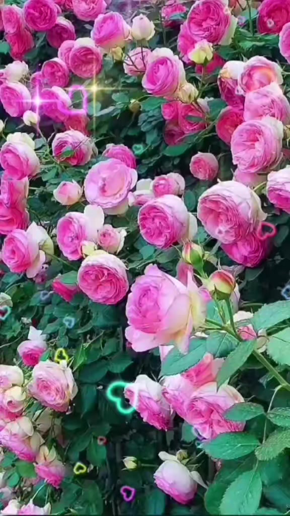@❤️Васильевна❤️