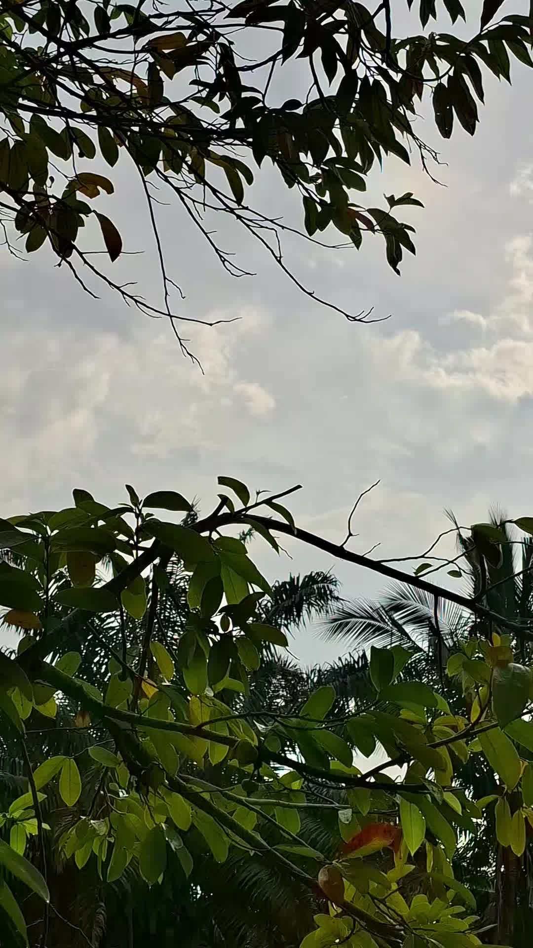 @Yunisufian