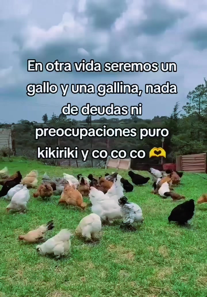 @Acero218