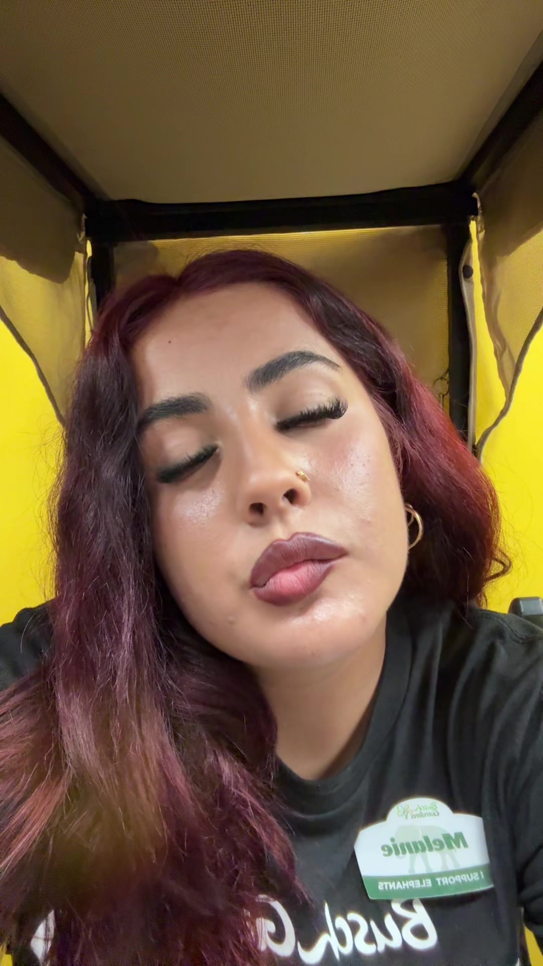 @spaminmelmel
