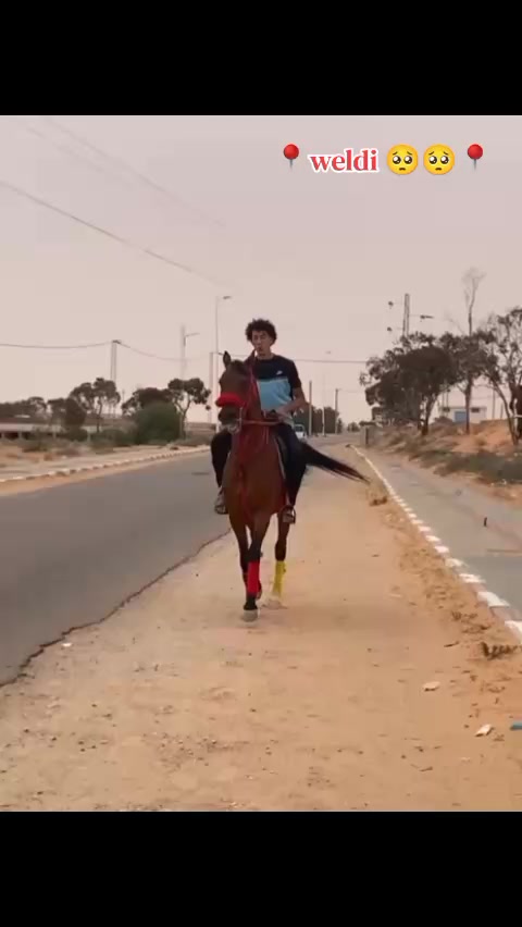 @bader ._. ❤️&zwj;🔥🐴📍