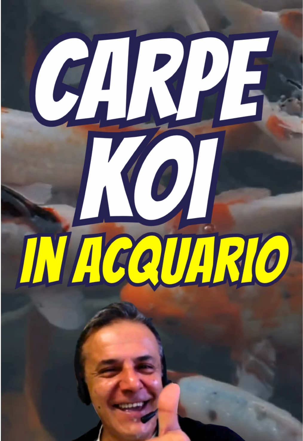 @Fish Ok