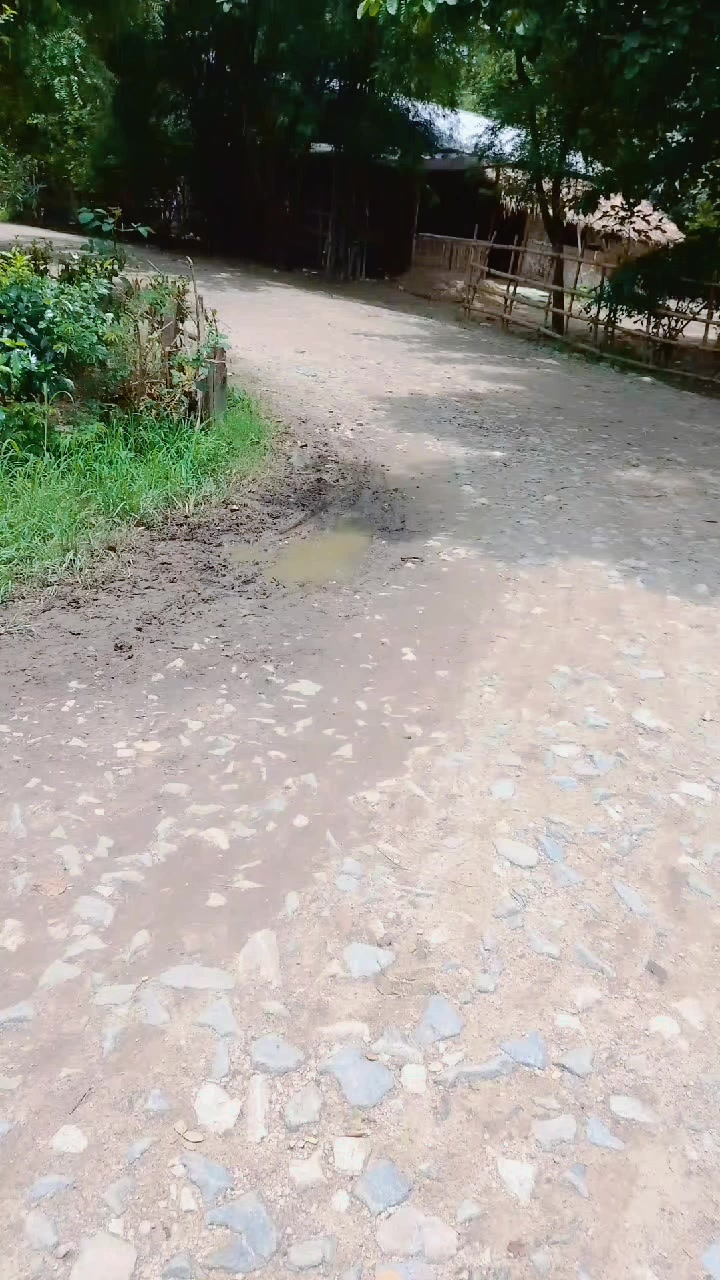 @pushpa