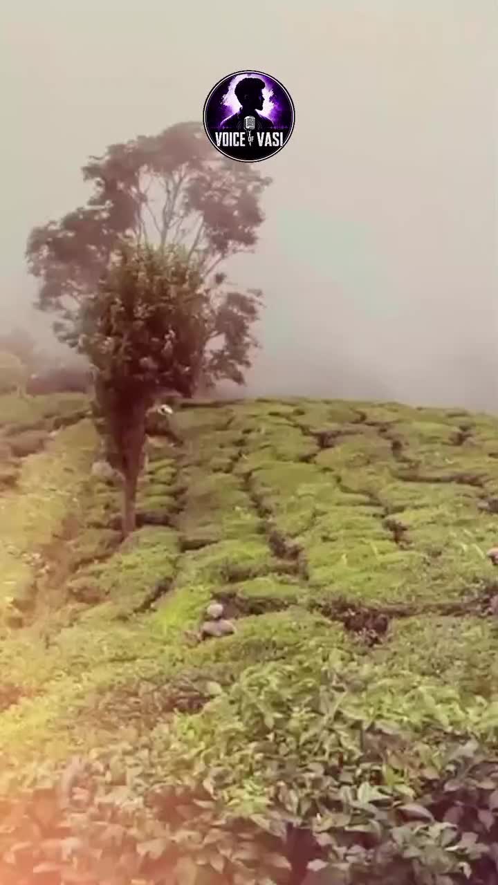 @SAMOSA KULA ROTI YAA 2