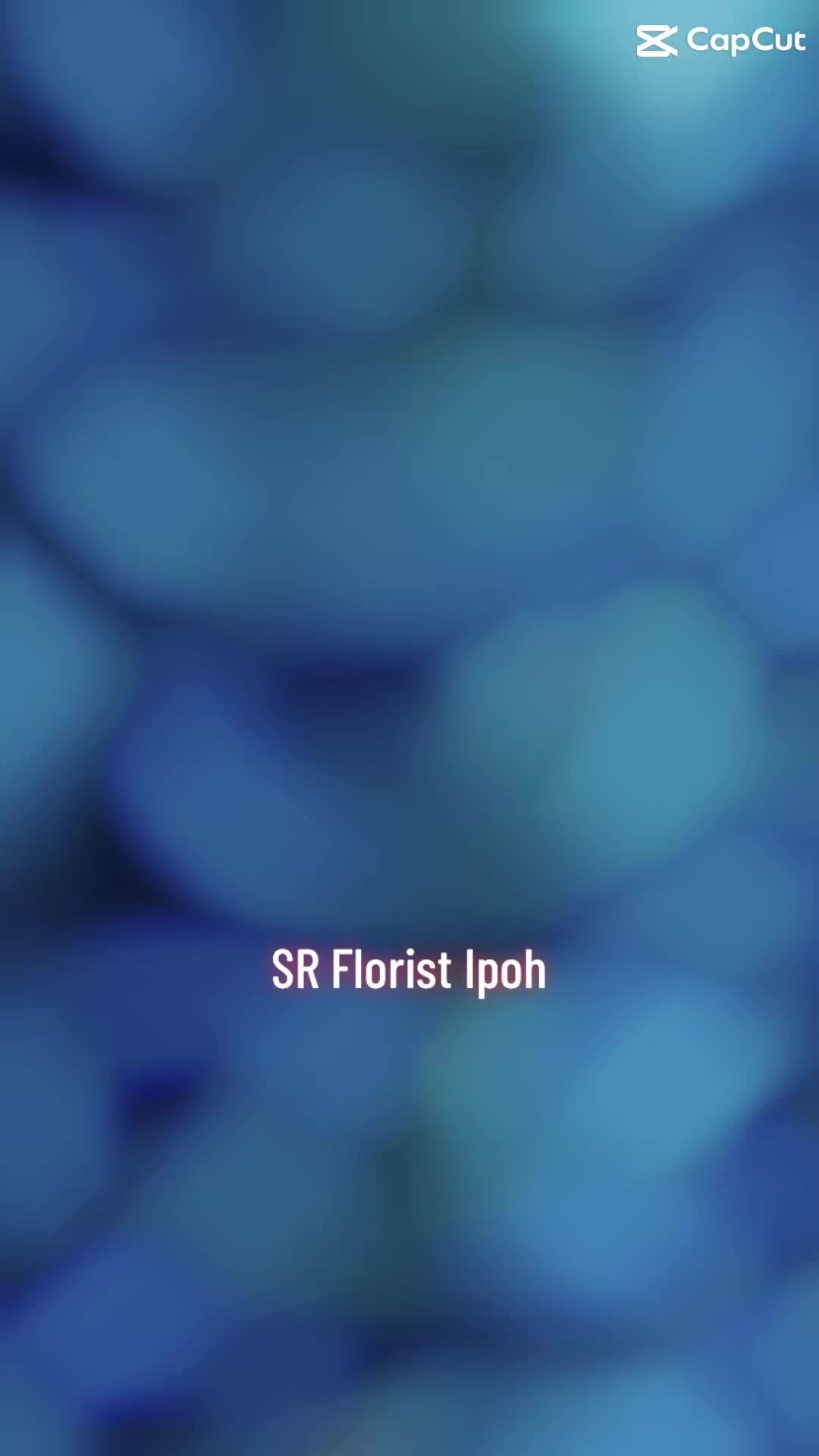 @🇮🇳SR Florist Ipoh🇲🇾