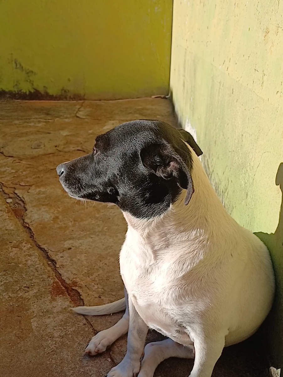 @Nubia Oficial