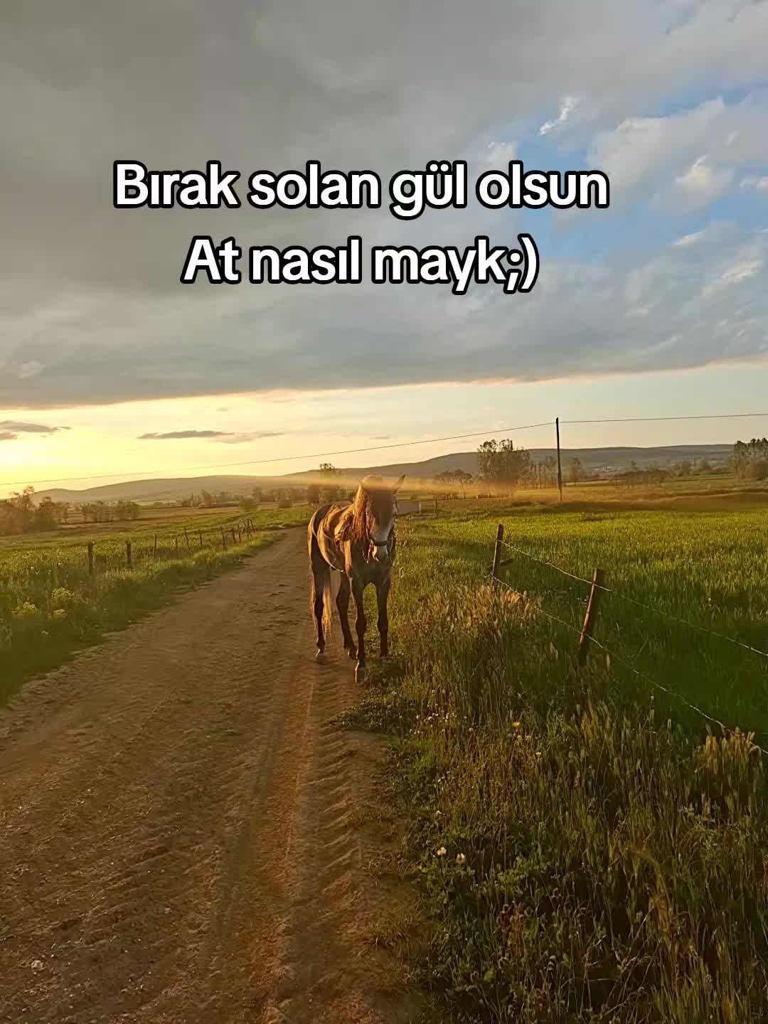 @Yusuf Ünal