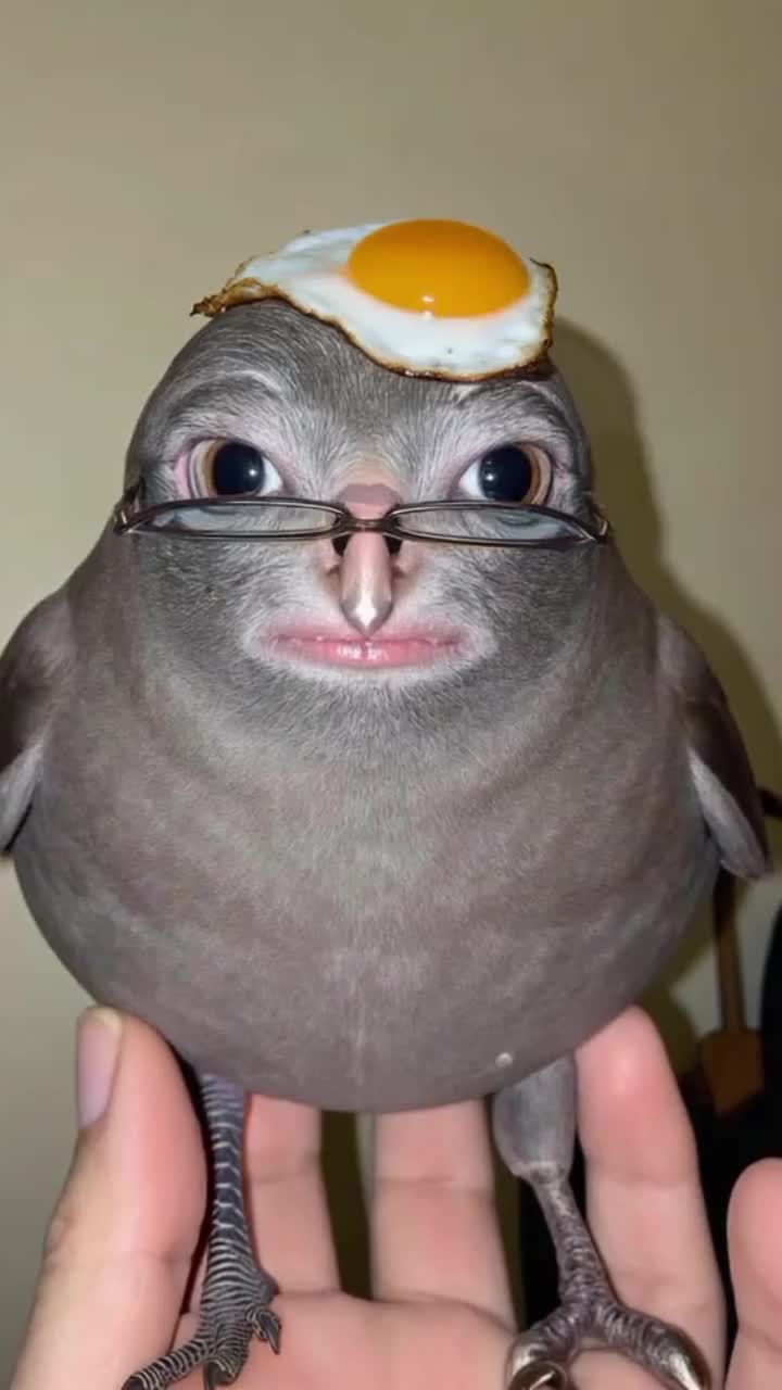 @lonlka