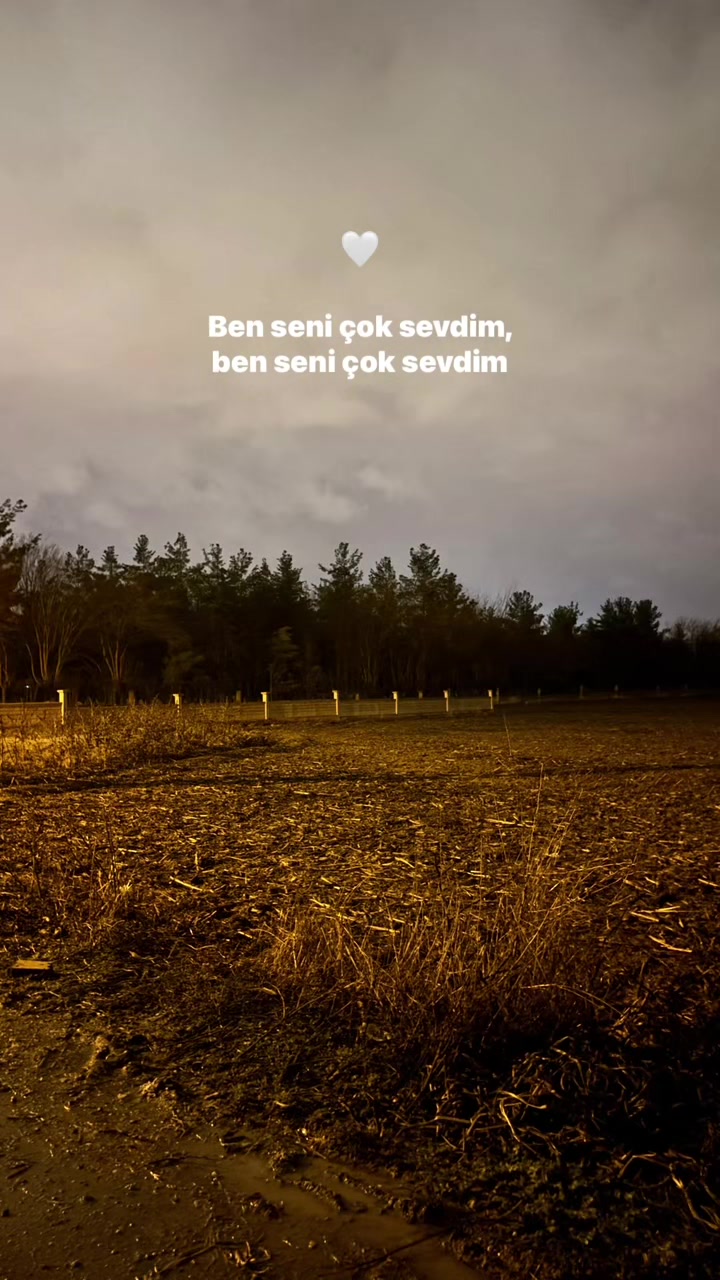@Xexexe