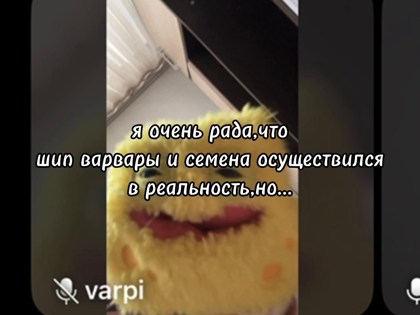 @varpi//амбассадор петрогаг