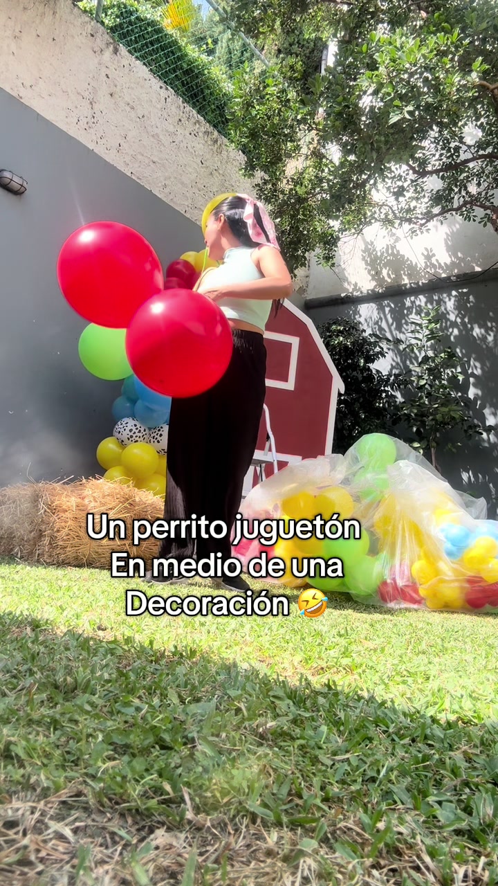 @GloboHappy🪄🎈