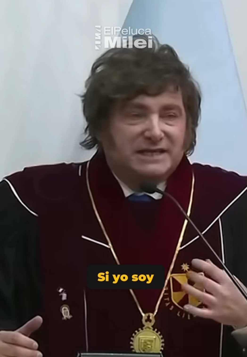 @El Peluca Milei