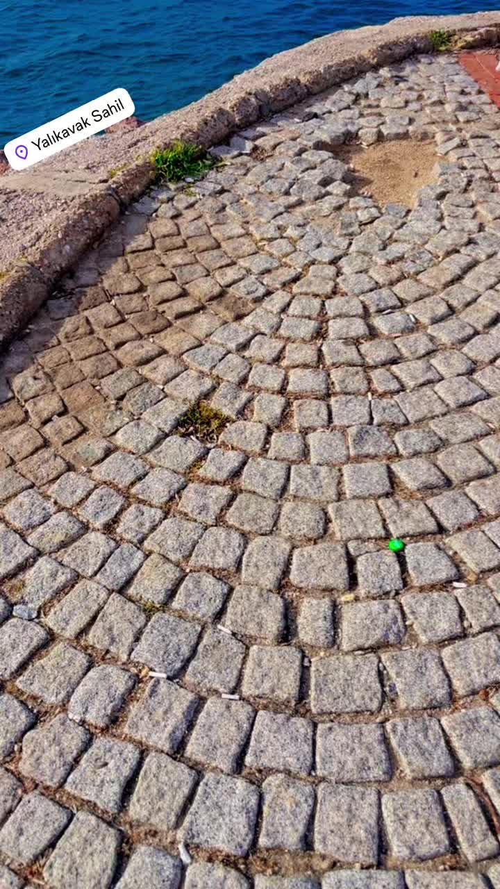 @&Ouml;zdemir 