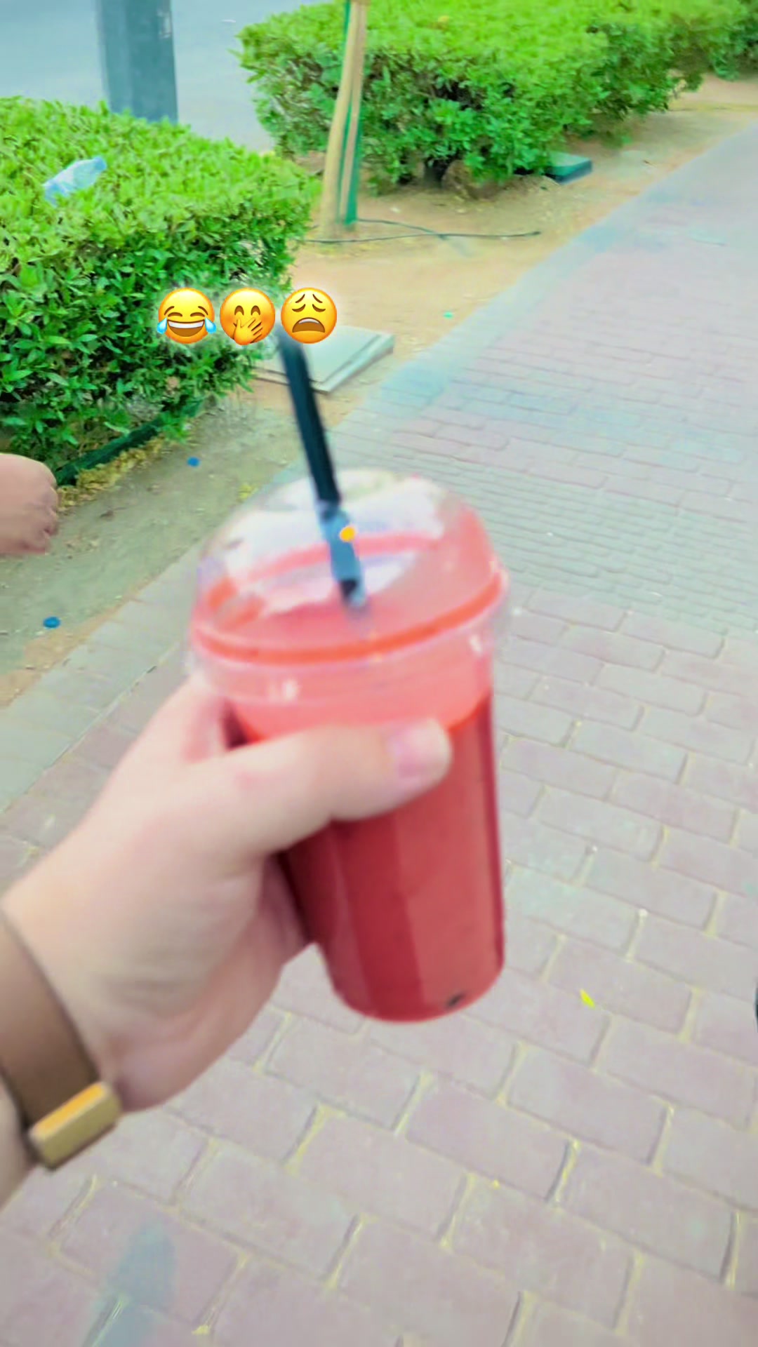 @๐ซ D I R ๐ซถ