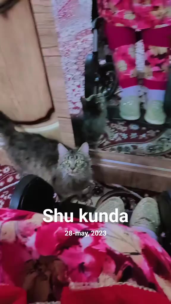 @✯⁎𝕊𝔸𝔻𝕆𝕊ℍ⁎✯