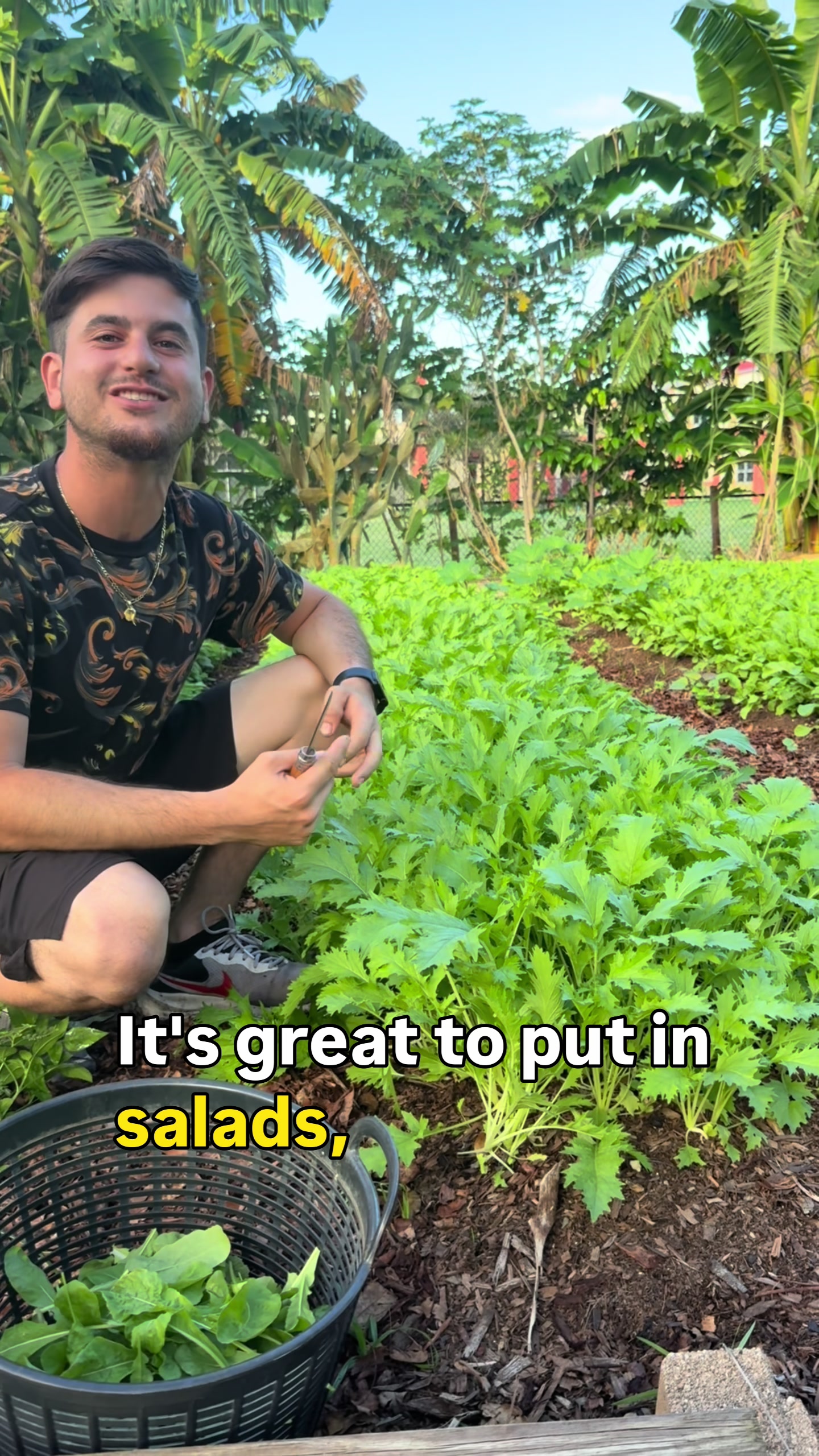 @will.harvest