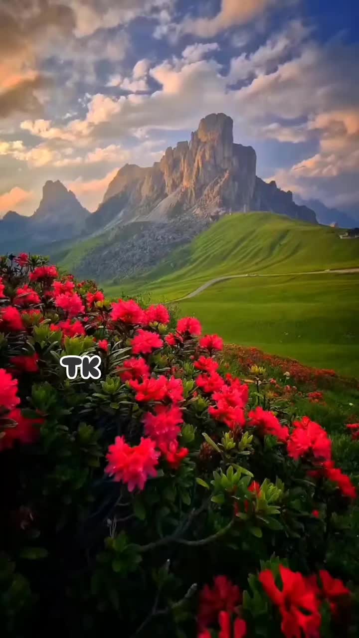 @❤️ TK ❤️