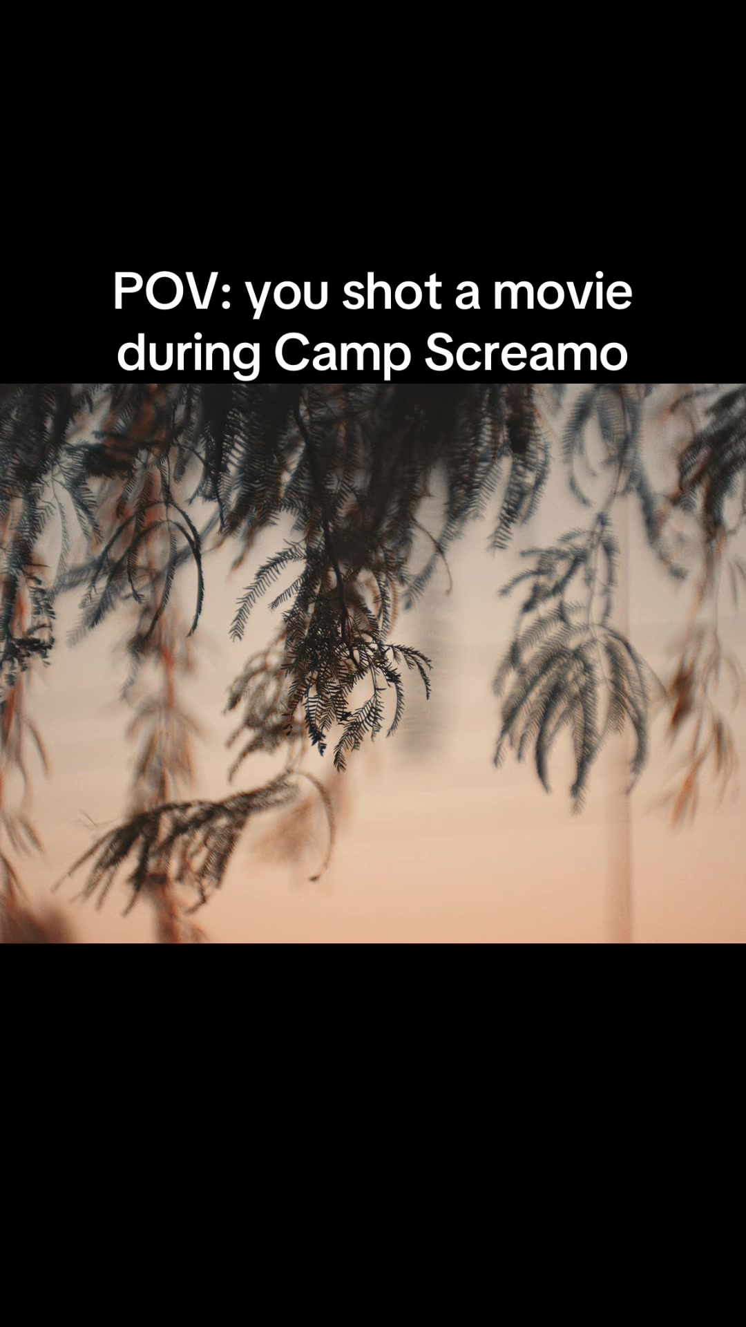 @Silverstein