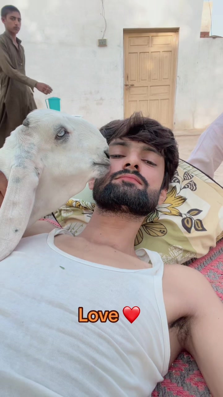 @Ayyan goat