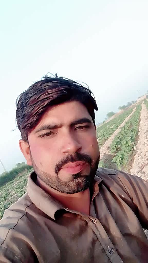 @abbasi