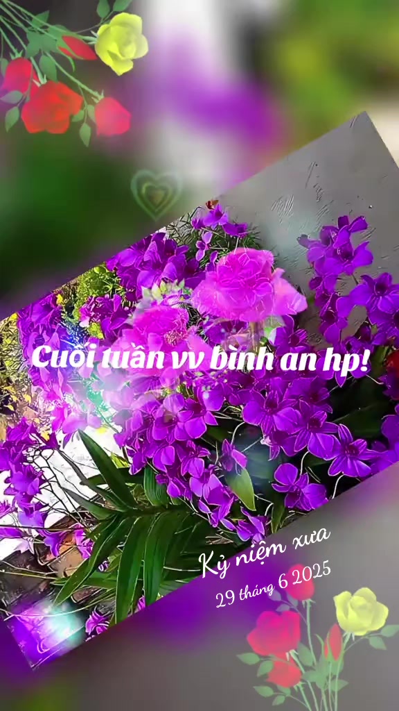 @nguyễn dung