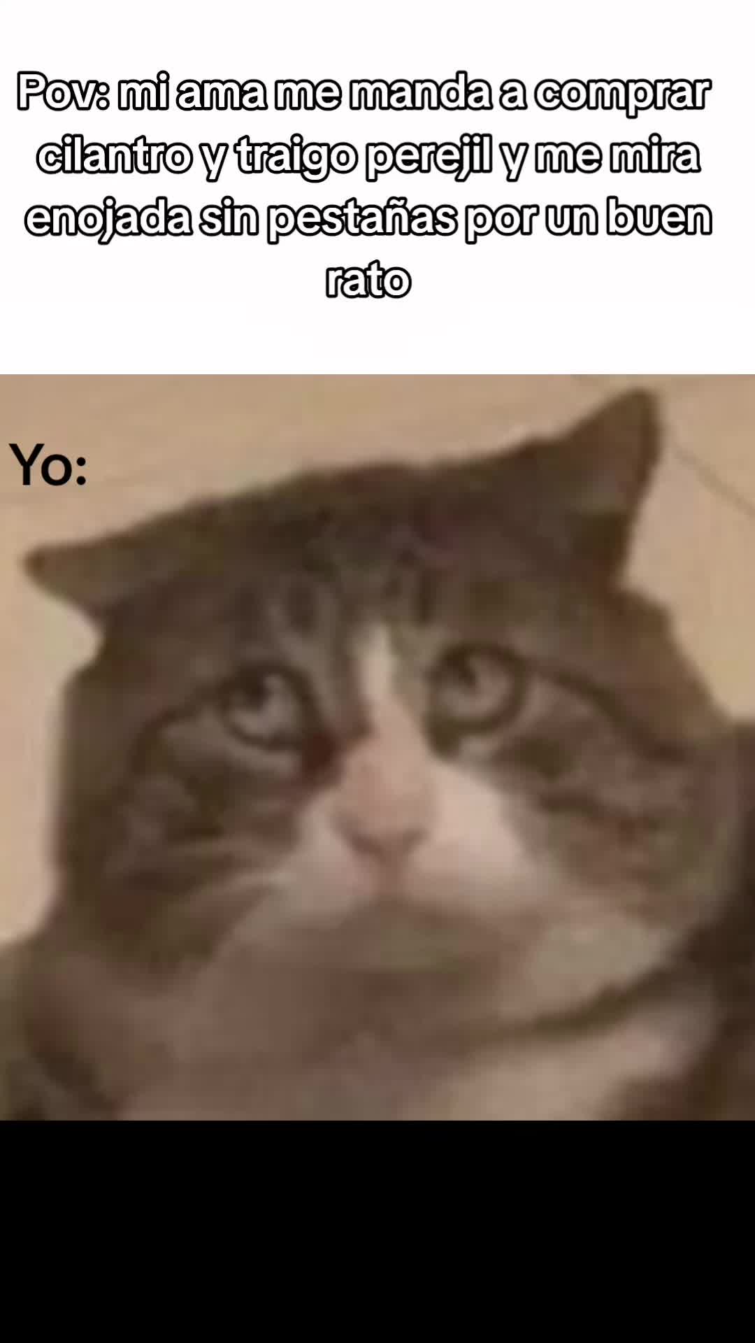 @Leoncio🗣️