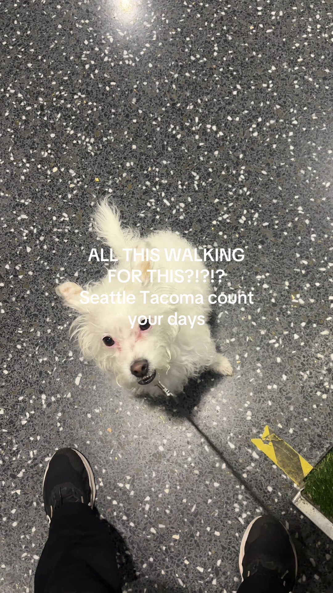 @ℌ𝔢𝔦𝔡𝔦