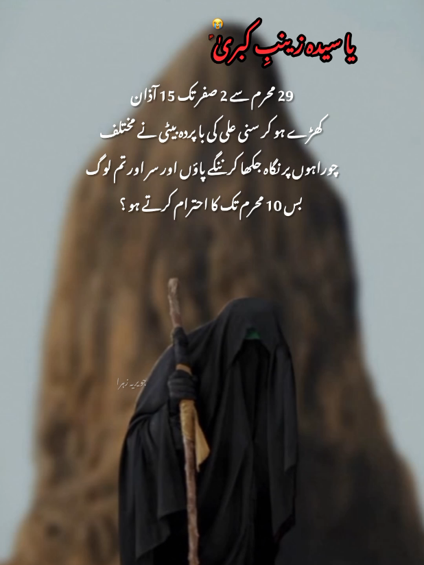 @hussaini vibe