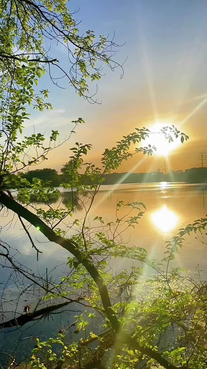 @_Venus_