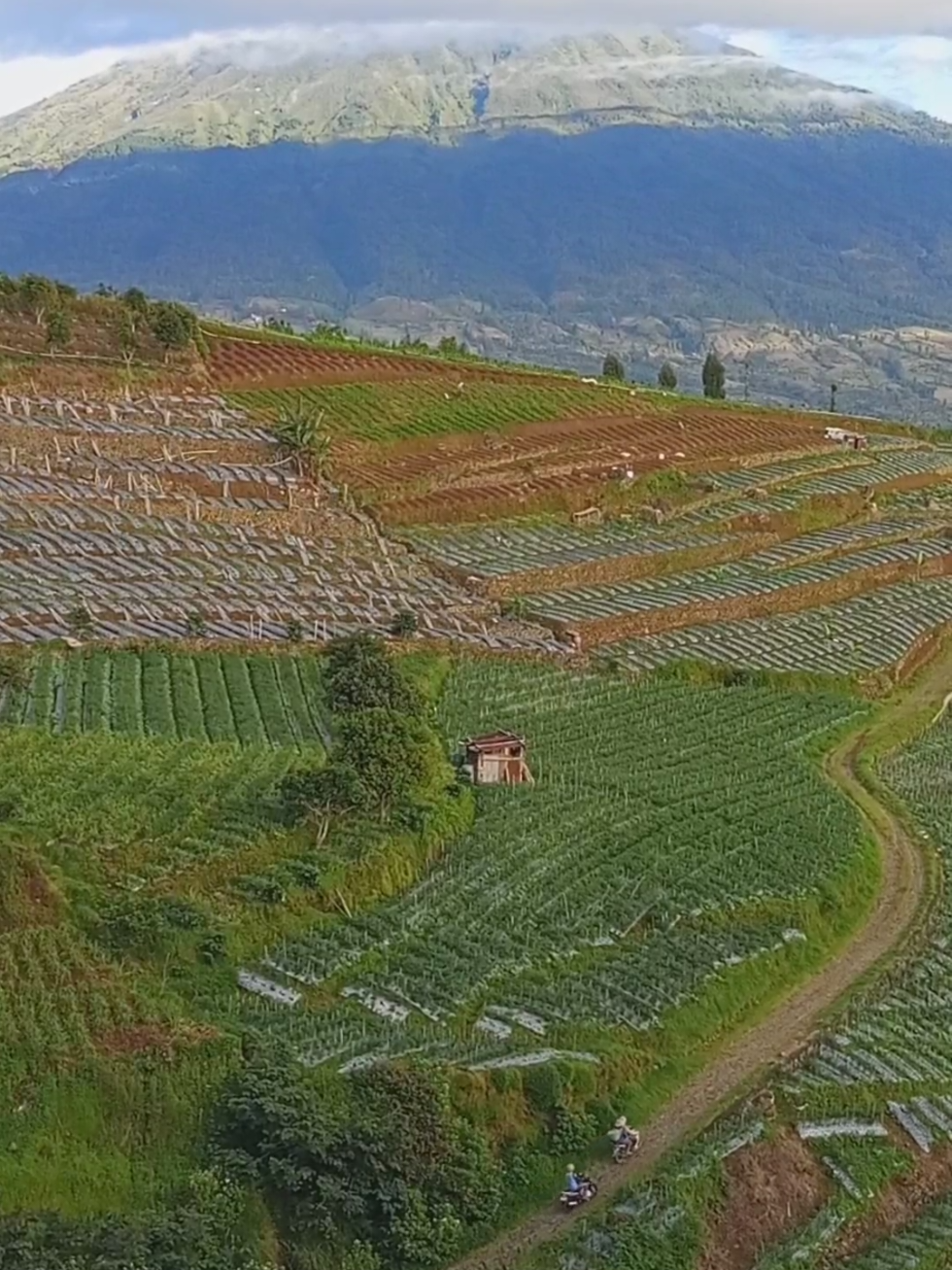 @jaka swara