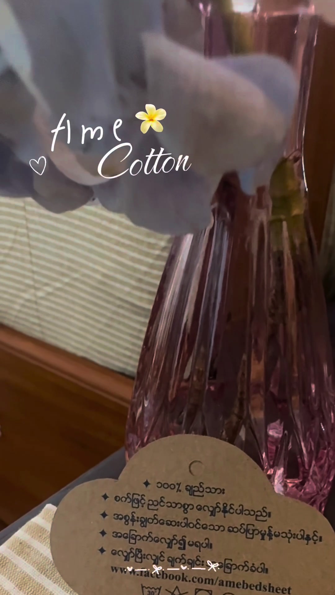 @AmeCotton