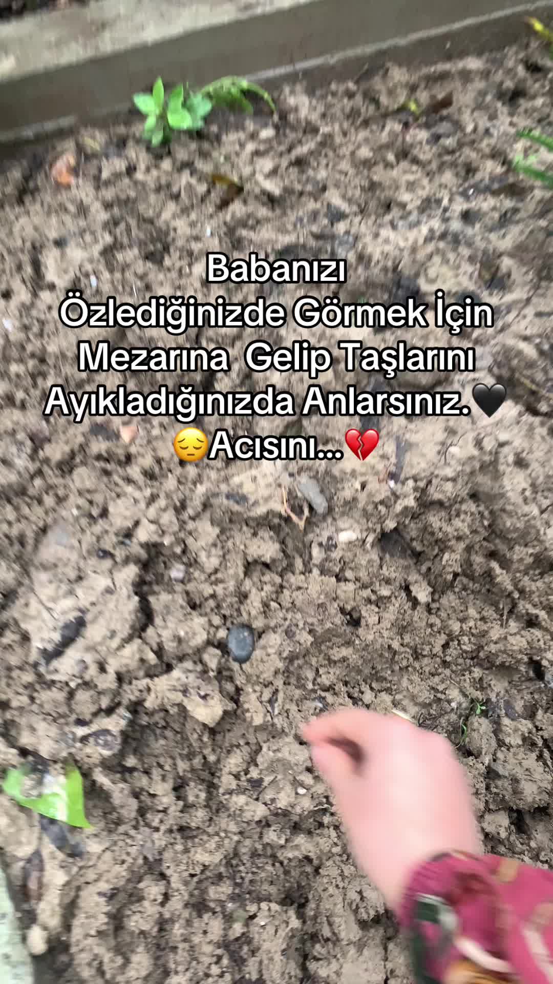 @🖤