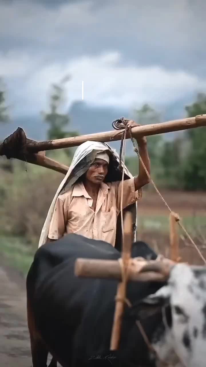 @پنجاب