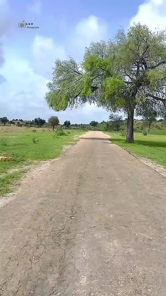 @ابوبکر🌸