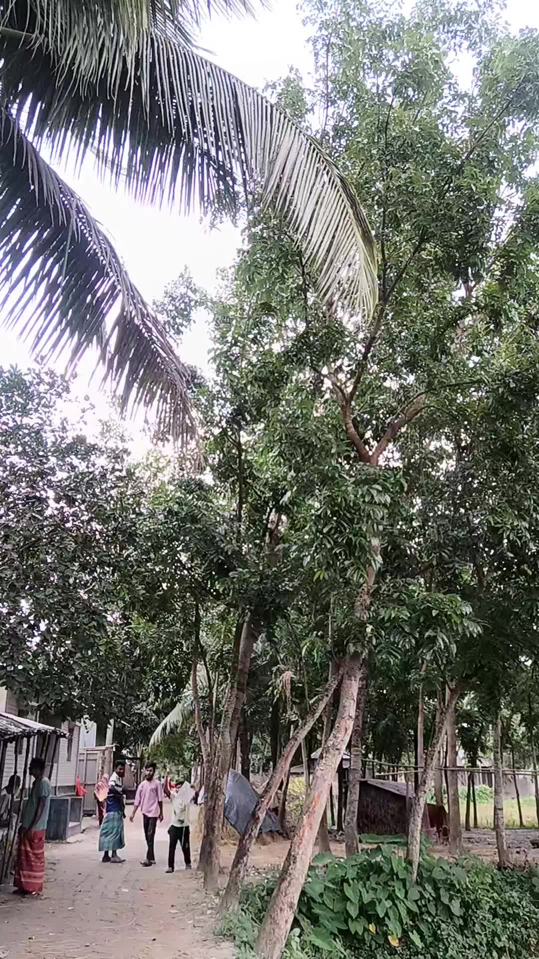 @আকলিমা আক্তার9999