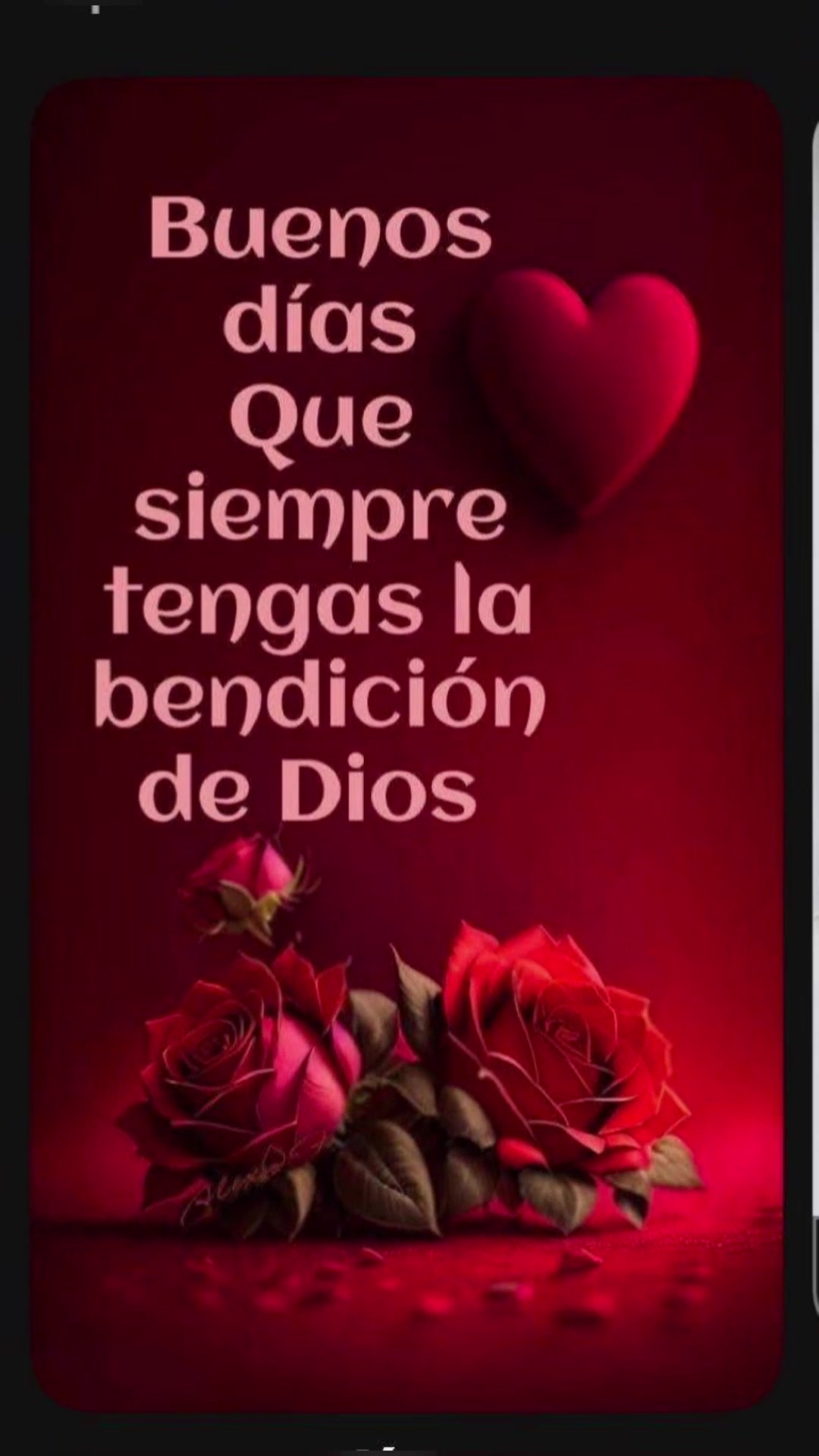 @elvirasvg